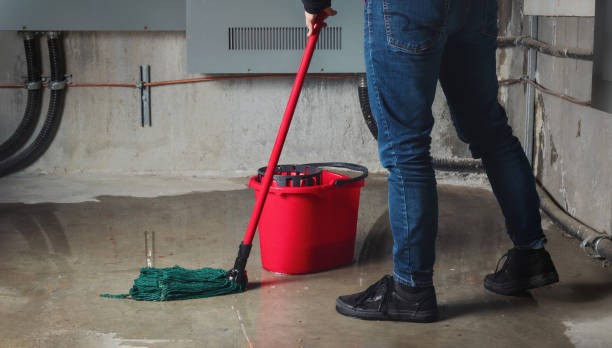 Best Sewage cleanup and water damage restoration  in Mullens, WV
