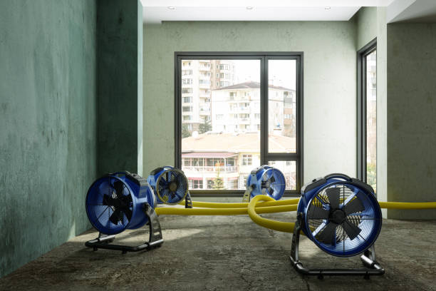 Best 24-hour water damage restoration  in Mullens, WV
